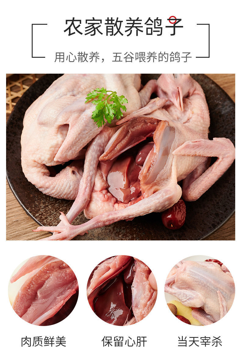 肉乳鸽土鸽子农家散养老鸽子杂粮喂养煲汤丽鲜玫3只乳鸽煲汤新鲜宰杀