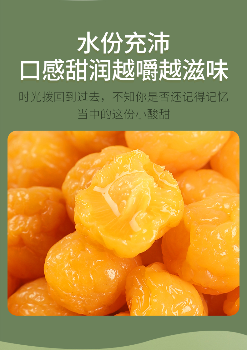 珍珠李500g袋装一珍珠梅清平乐蜜饯果脯小零食酸甜话梅干李子干 袋
