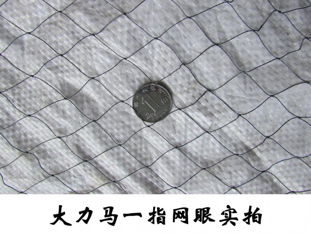 大力马线纯手工老式撒网传统手抛抛网鱼网捕鱼网手撒旋网渔网手工胶