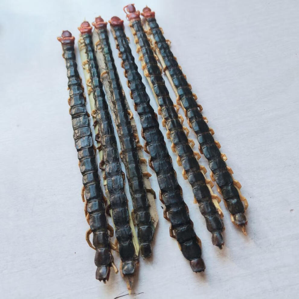 蜈蚣干大条精选无硫新货药材10至20cm红头整条湖北产 标准16cm30条