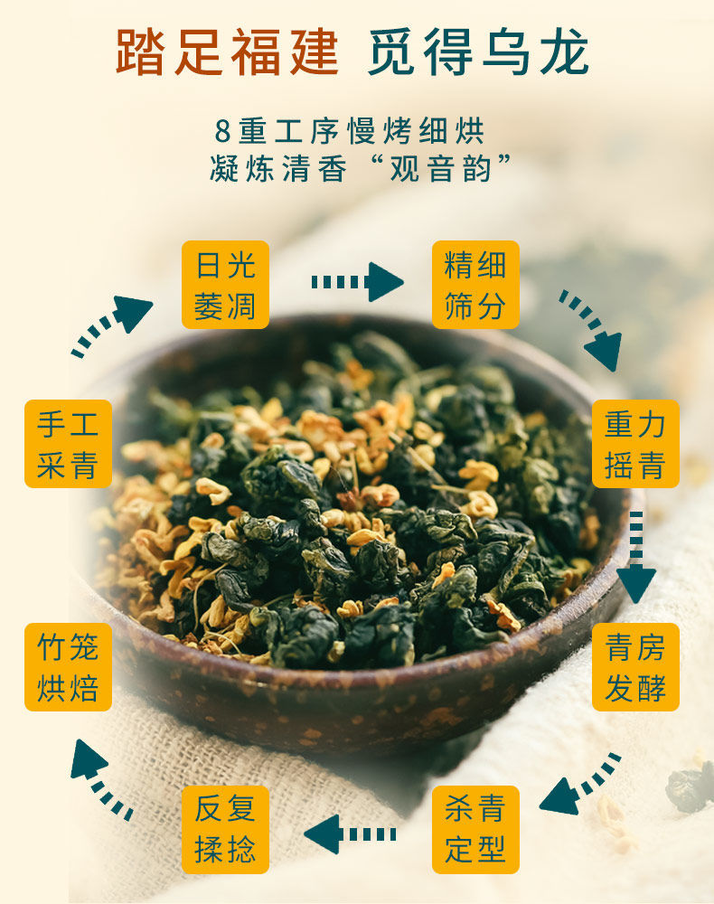 茉莉花茶綠茶毛尖冷泡茶三角茶包濃香型茶葉新茶官方旗艦店茉莉花綠茶