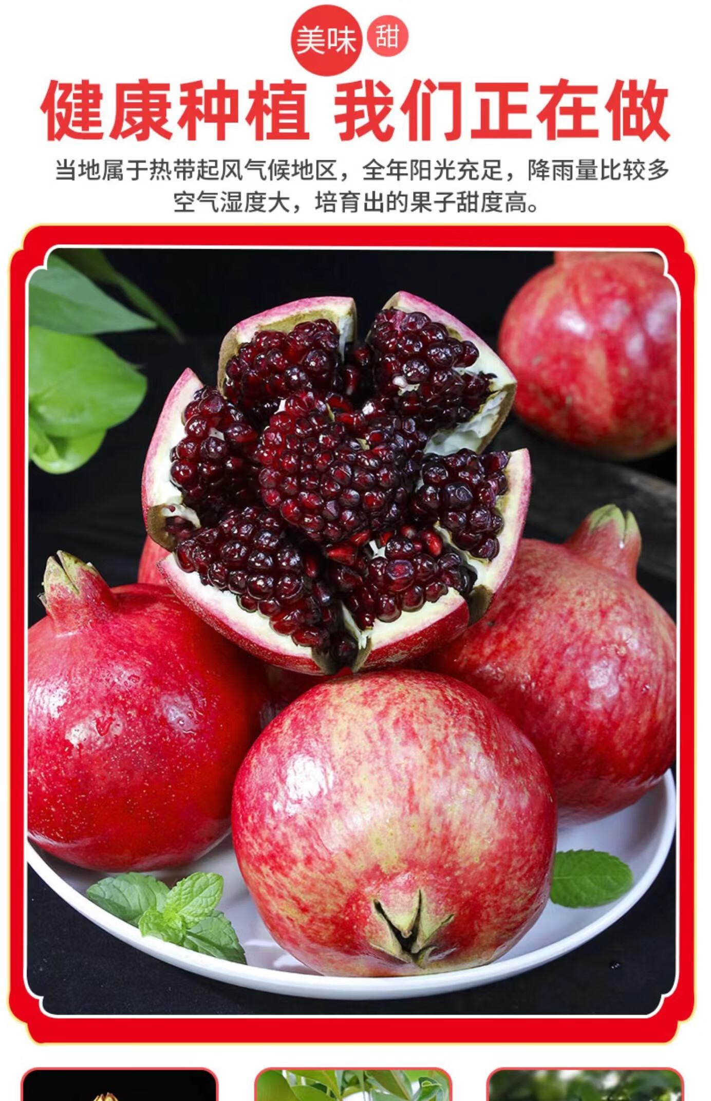 四川凉山会理突尼斯软籽石榴水果新鲜大果正宗红软番石榴当季 售后