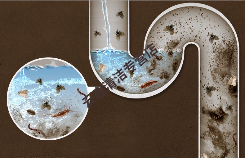 发两瓶下水道杀虫剂卫生间厕所除小飞虫灭杀蛾蠓药