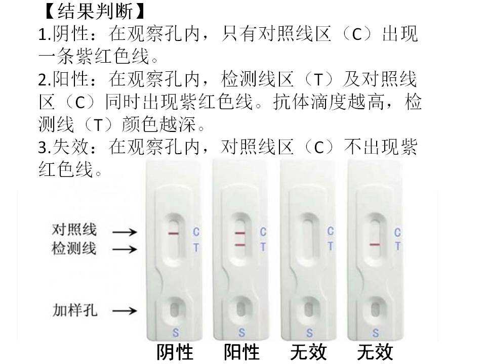 牛布病檢測卡 羊布病檢測試紙奶牛牛羊布病速測卡快速布病快速診斷卡