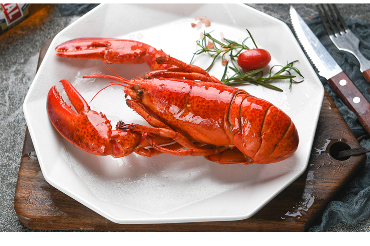 官井一号新鲜波士顿龙虾大奥龙海鲜水产大波龙3500g