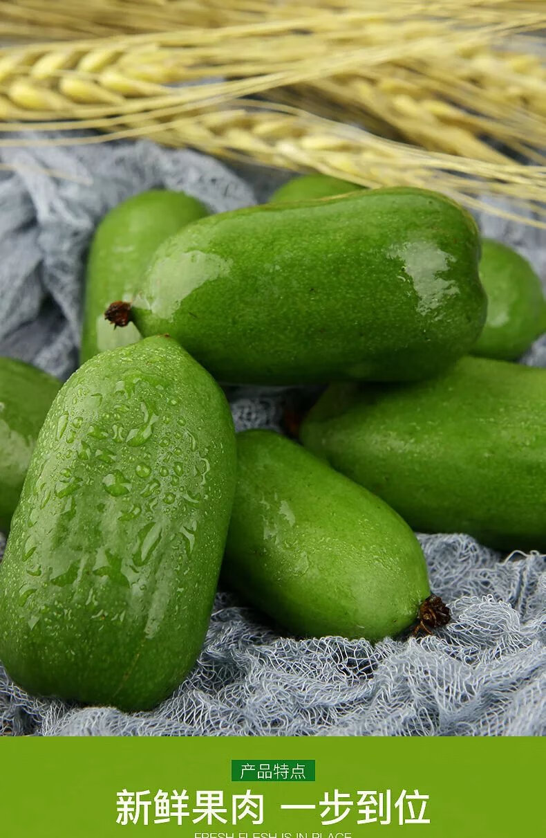 丹东软枣猕猴桃新鲜水果奇异果奇异莓狗枣子圆枣孕妇 一斤 长形中果