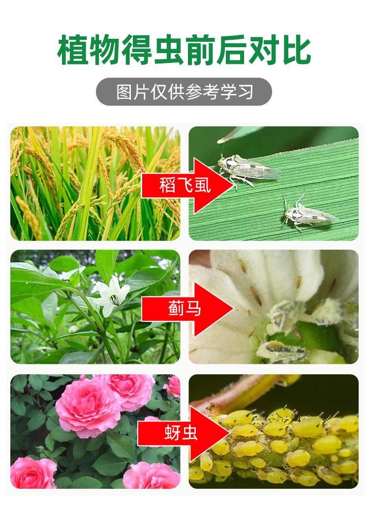 烯啶虫胺 吡蚜酮 80% 水稻稻飞虱蓟马 农药杀虫剂 100g【图片 价格