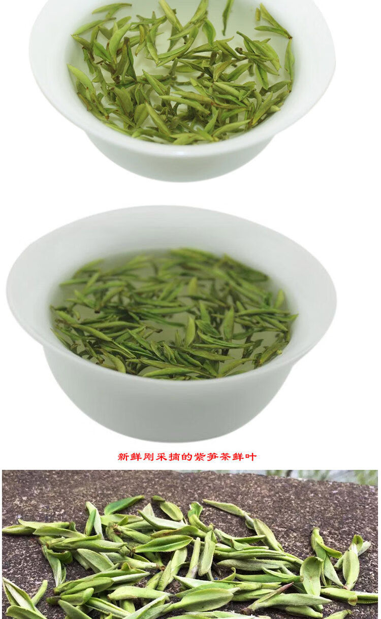 赢博体育官网入口：赢博体育app：茶业资讯