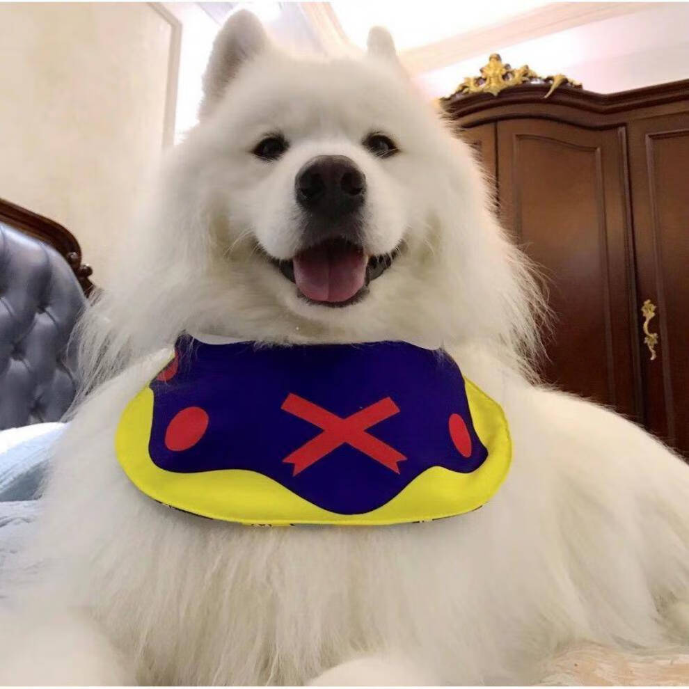 大型狗狗口水兜 口水巾中大型犬夏季围巾宠物围兜大狗金毛萨摩松狮