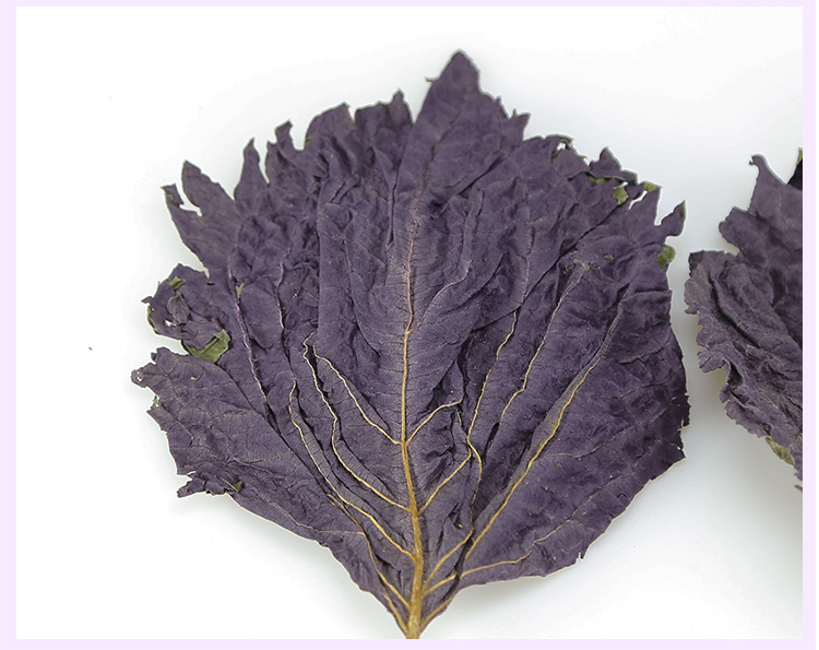 100g克紫苏叶干紫苏叶中药泡脚食用紫苏叶粉泡茶苏叶中药材子苏叶 100