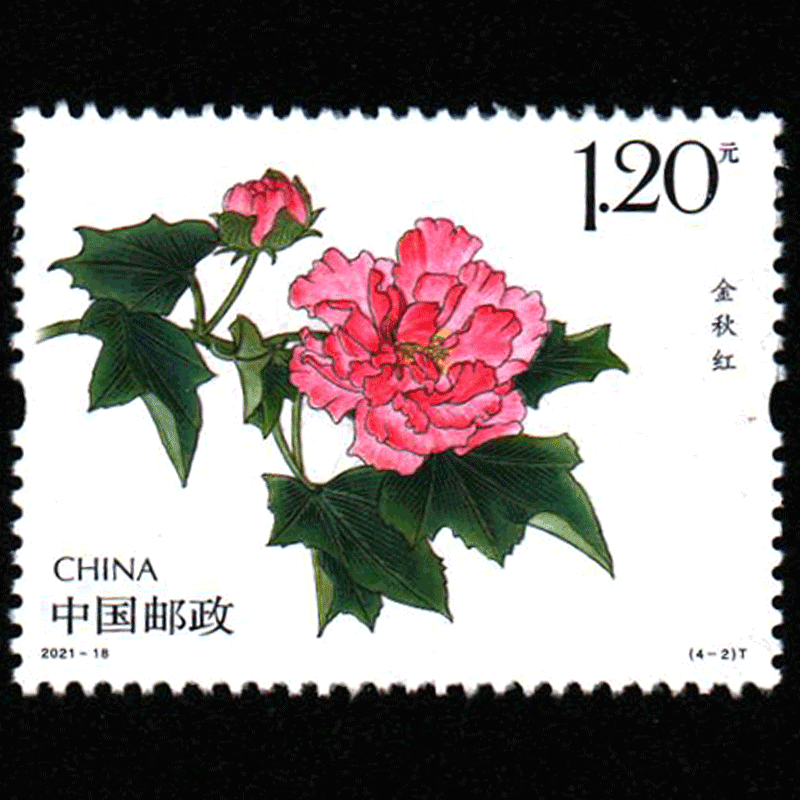 捌零零壹2021年邮票202118木芙蓉特种邮票202118花卉木芙蓉完整大版