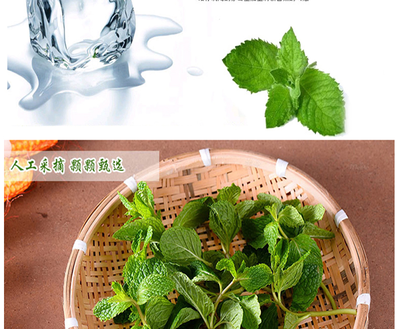 博多客 新鲜薄荷叶鱼香菜留香菜 生鲜蔬菜 500g