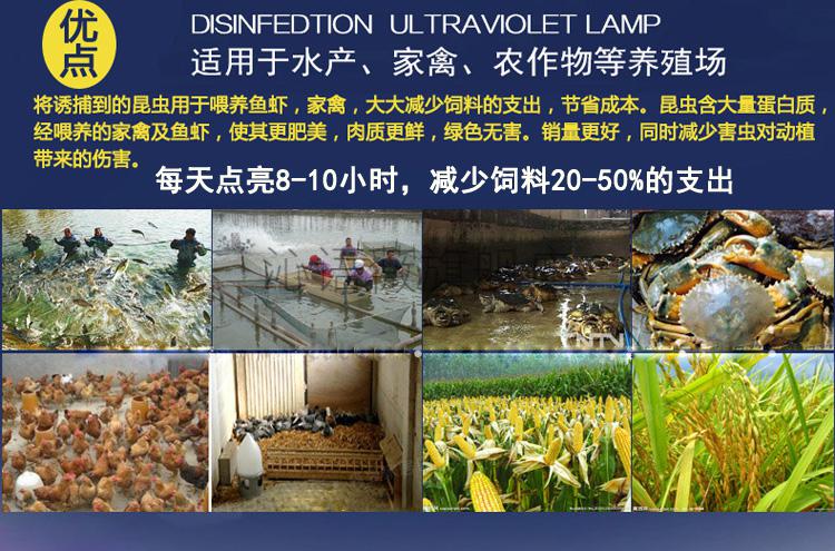 太阳能黑光灯诱虫器 诱虫灯养殖太阳能引虫灯鱼塘自动水库喂鱼灯户外