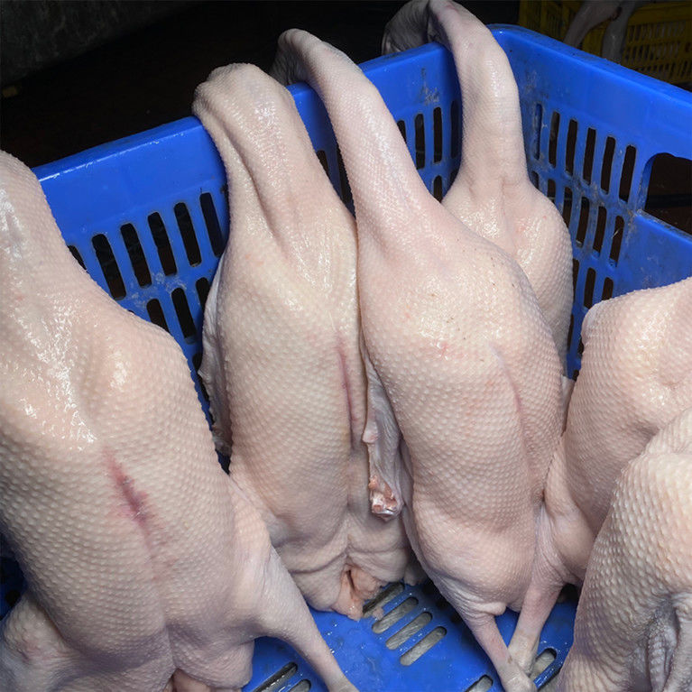 清远黑棕鹅农家散养新鲜大鹅肉整只现杀现发华奥薇斯67斤整只鹅去内脏