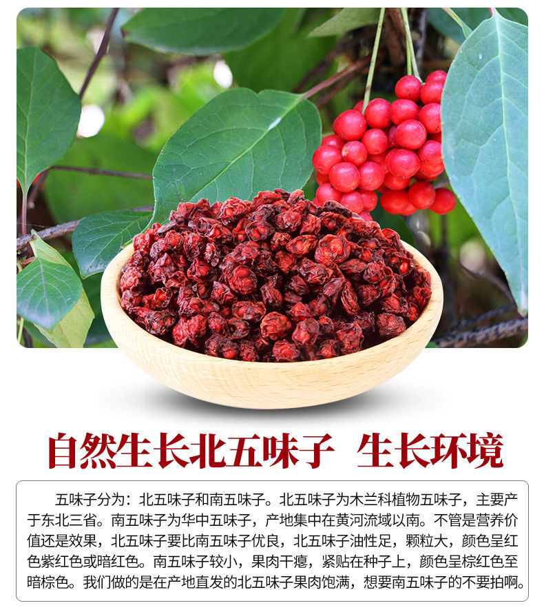 长白山北五味子中药野生正宗干货硒芽五梅颗粒中草药泡水 五味子 刺五