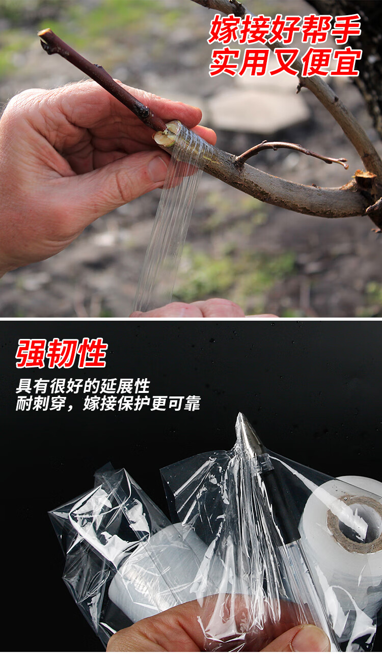 果树嫁接膜糯米纸树苗嫁接膜加厚自粘式塑料月季接树膜包扎带10卷宽