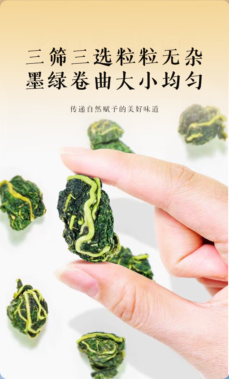 5，桑葉茶120g 霜後桑葉茶霜降桑樹桑葚葉新鮮霜打新鮮