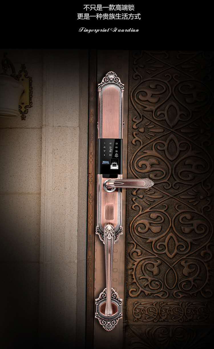 糖蚁别墅铜指纹锁防盗门长拉智能锁对开大门密码锁豪华子母门室外长把