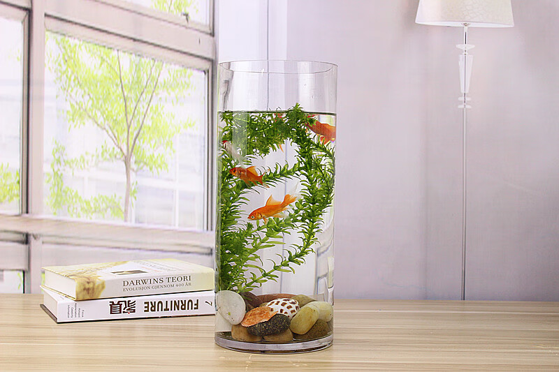 金鱼缸 玻璃 水族箱小型创意生态圆形 圆柱大号乌龟缸 造景培装饰