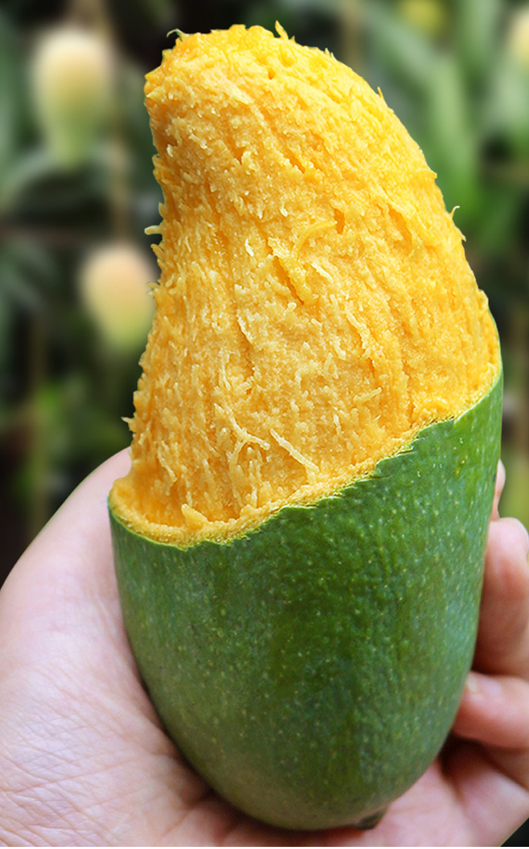 轻恋【顺丰速运】广西芒果百色桂七芒香芒新鲜水果整