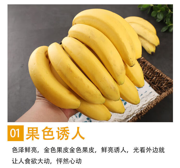 【1-2年果树】-清甜 尝鲜体验【1斤试吃】花皮小蕉【图片 价格 品牌