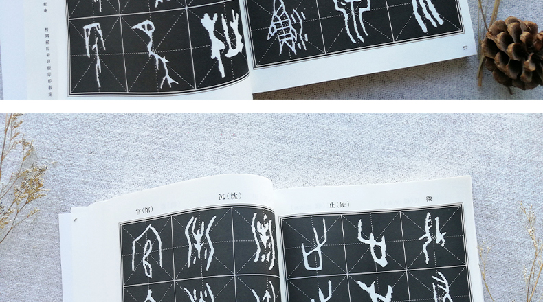 甲骨文同字异形字帖书法字帖甲骨文丛书系列北京工艺美术出版社
