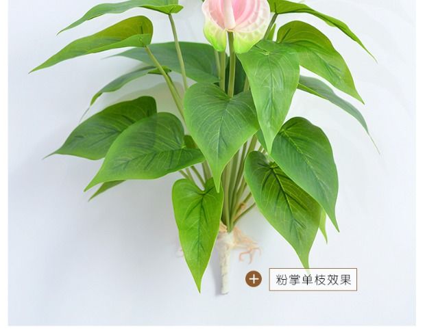 精選仿真粉掌盆景粉掌仿真花室內裝飾花辦公室綠植假花塑料花客廳植