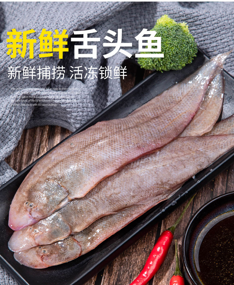 青岛龙利鱼踏板鱼龙鳞鲜活舌头鱼目鱼鲜舌鳎牛舌鱼鲜木8斤中号1316条