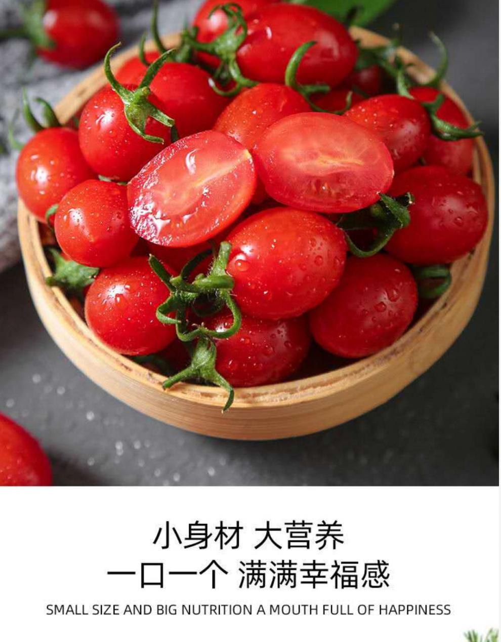 小西红柿柿子新鲜现摘自然熟千禧 青岛产--盒装玲珑小番茄--3斤【图片