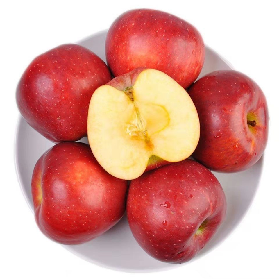 现摘新老红星苹果粉面果老人宝宝刮泥吃的沙甜水果非花牛蛇果2021现摘