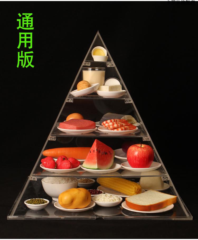 膳食宝塔食物模型 新版中国居民平衡膳食宝塔模型仿真营养食物交换份