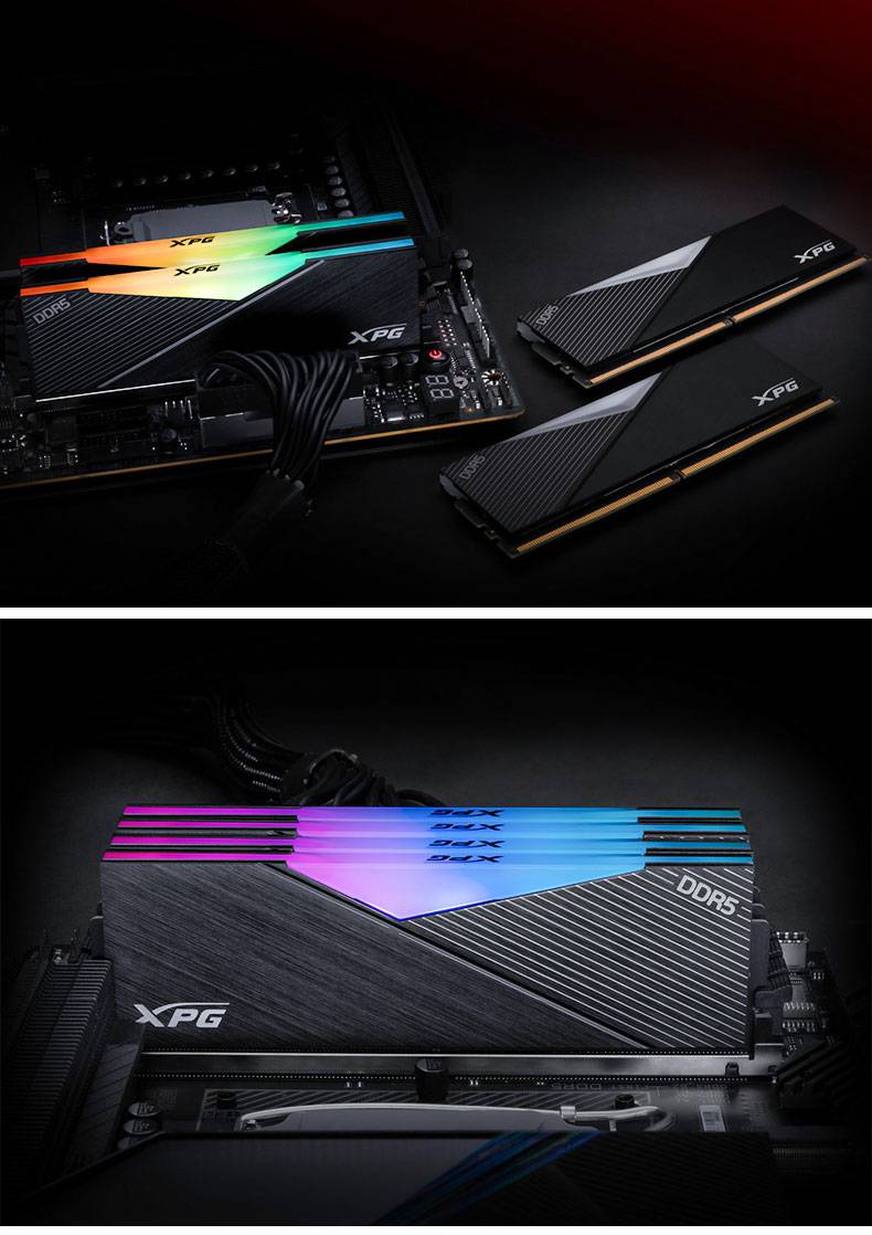 威刚(adata)xpg威龙内存条ddr5 16g 32g 64g4800 5200龙耀600 万紫