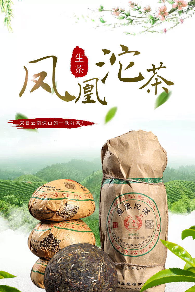 云南大理凤凰普洱茶生普洱茶沱茶经典凤凰沱茶五个500克500g
