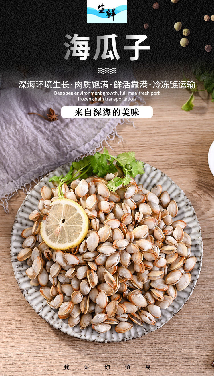 活小海瓜子薄壳白瓜子小蛤蜊海瓜子贝类海鲜野生海捕连云港 10斤批发