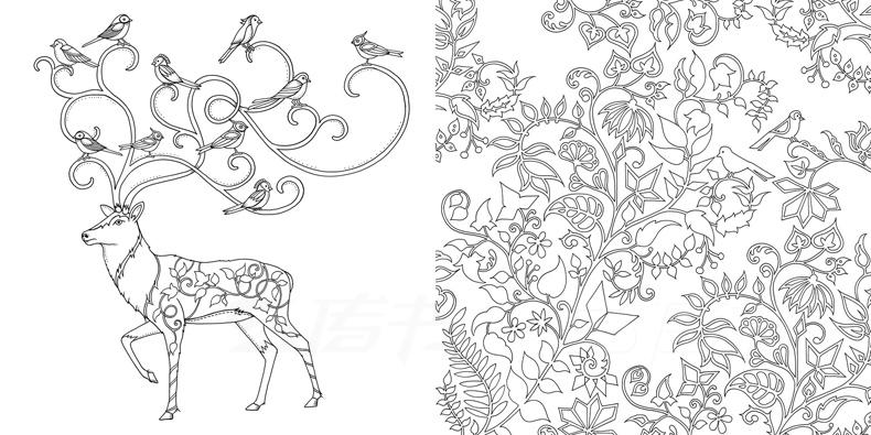 惠阙芸 秘密花园第二版魔法森林减压涂色书涂鸦绘画填色本线装 英文版