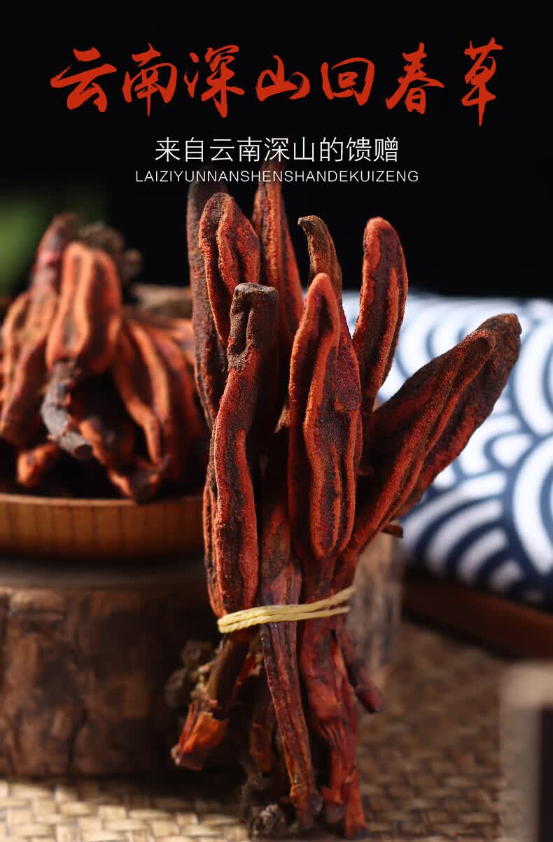 福中仁 回春草罐装30g又名不老草顶天柱回春草官方旗舰店正品xl 3罐装