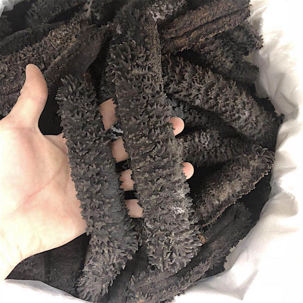 恬女神425头梅花参淡干海参刺参辽参500g