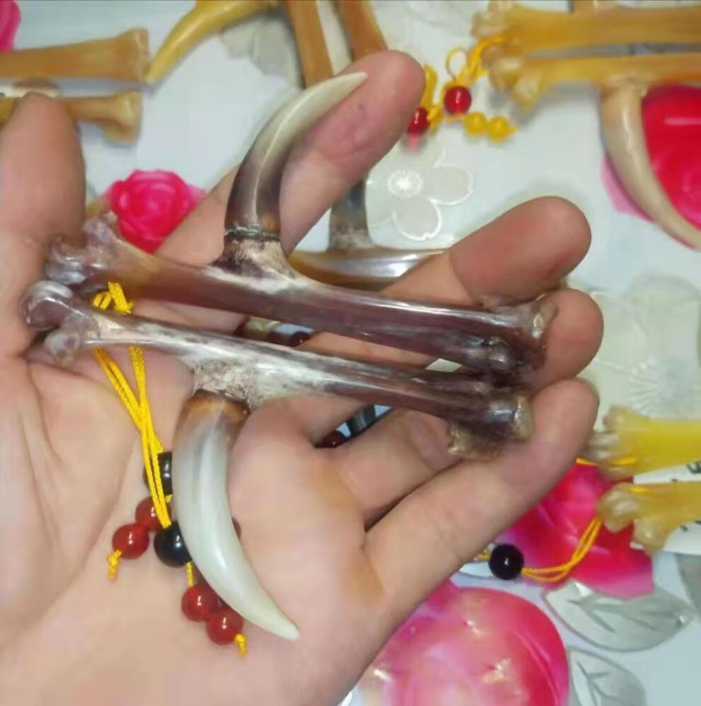鸡爪骨头文玩鸡爪骨手把件盘玩冷门文玩鸡蹬骨鸡拐骨青鱼石吊坠手
