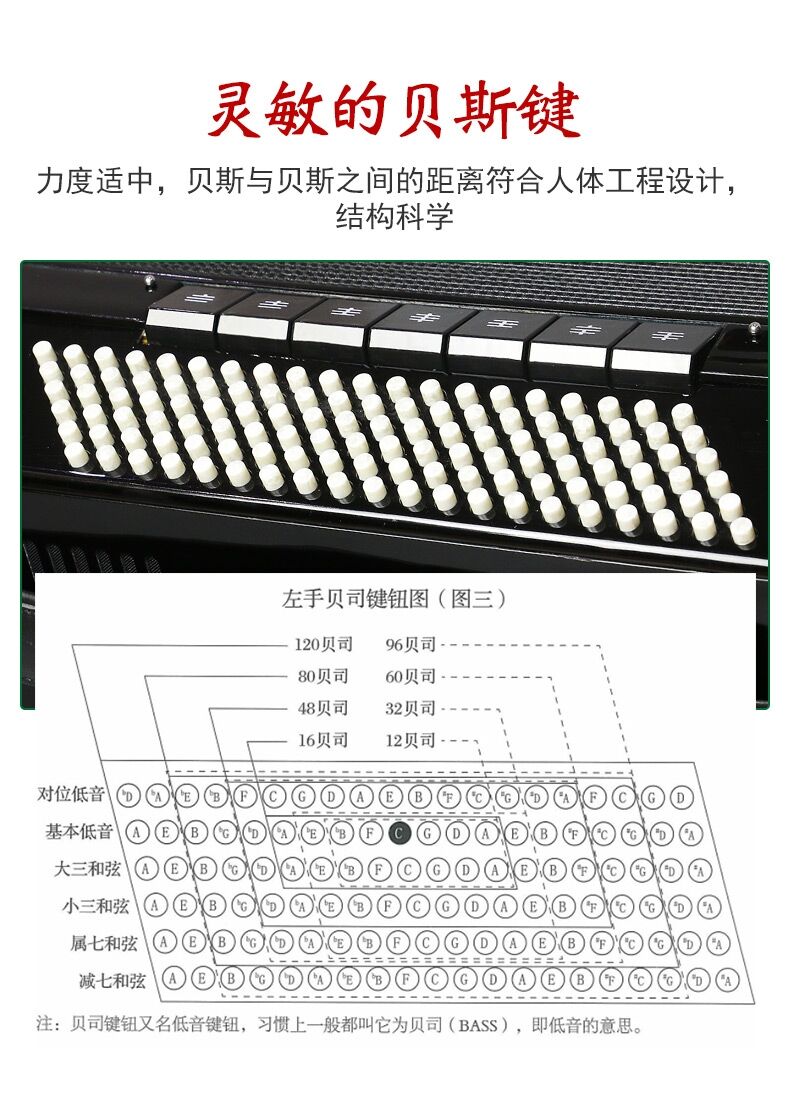 雅马哈手风琴成人儿童60贝司96贝斯120三排簧初学者演奏乐器 72贝斯