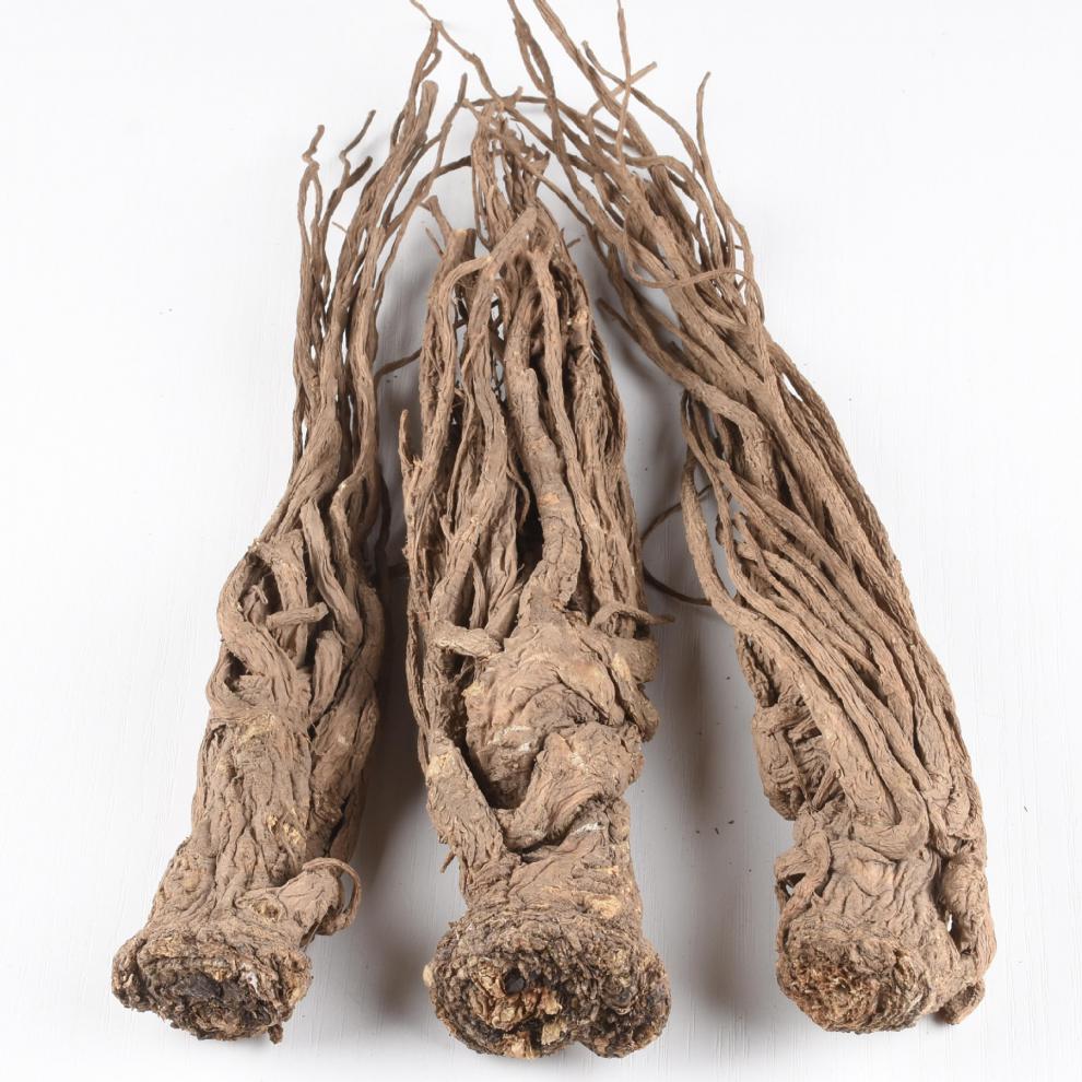 当归个整条中药材岷县500g新鲜特级整支当归个子非【图片 价格 品牌