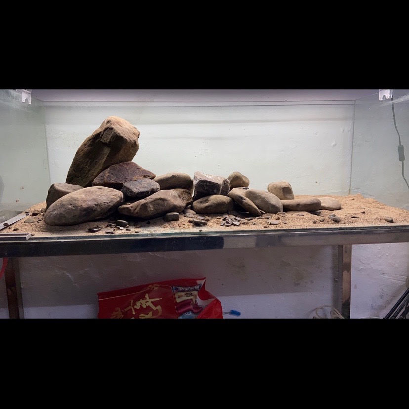 片岩原生溪流缸造景乌龟晒台虾虎三湖躲避爆藻开缸石冷水鱼溪流石中