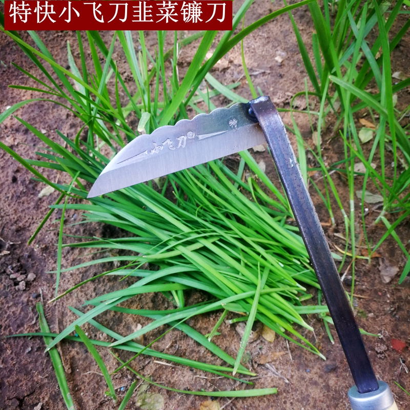 锰钢65韭菜镰刀家用割蔬菜除草小锄头小镰刀农用工具 定制驰凌 小号