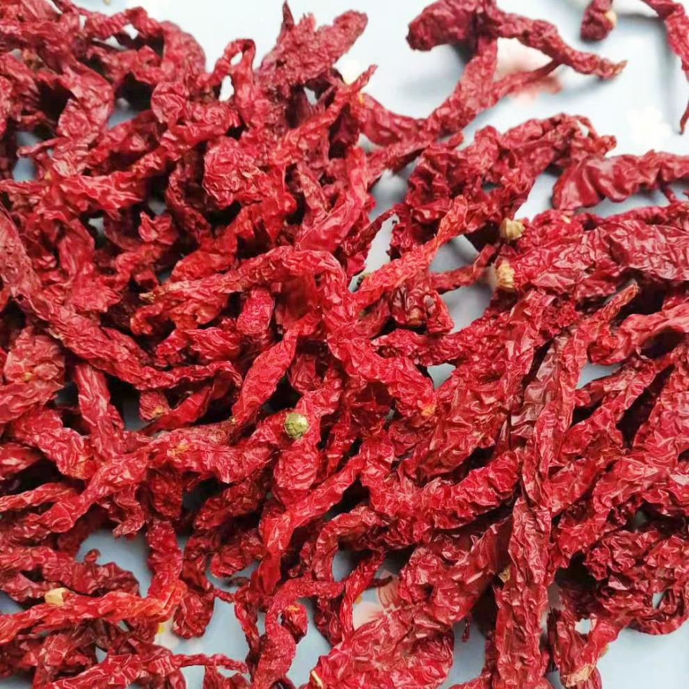 (贵州特产)自晒干皱皮辣椒长辣椒二荆条红辣椒干辣椒中辣特香250g 2斤