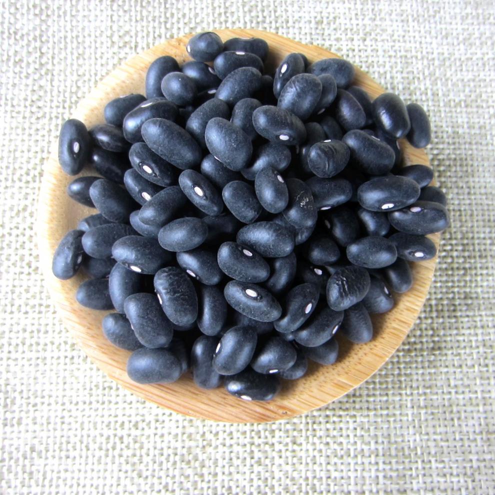 东北黑芸豆腰豆白心芯饭豆馅小黑豆农家自产不染色乌10斤