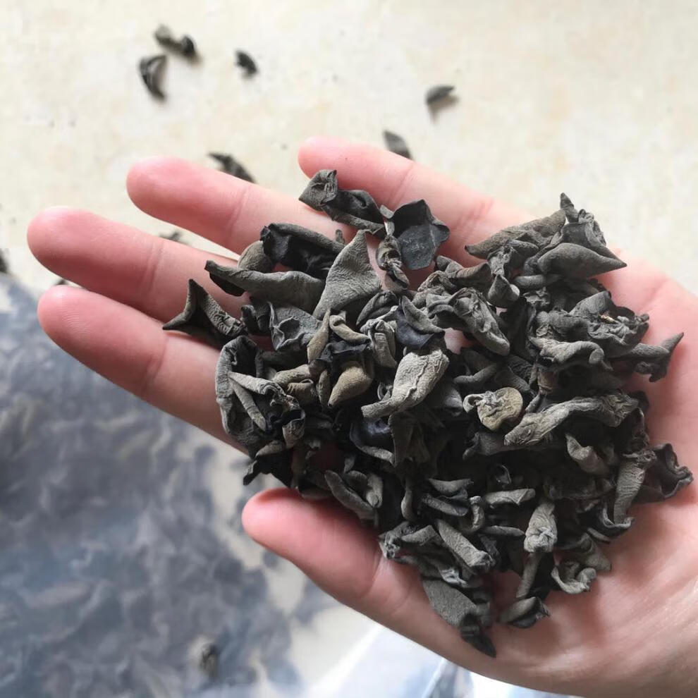 正宗云耳干特级云南优选精品黑木耳南北干货椴木木耳菌菇特产精选云耳