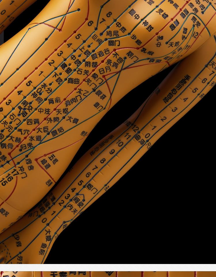 人体模型人针灸穴位十二经络图扎针中医小皮人数字刻度铜全身铜色硬质