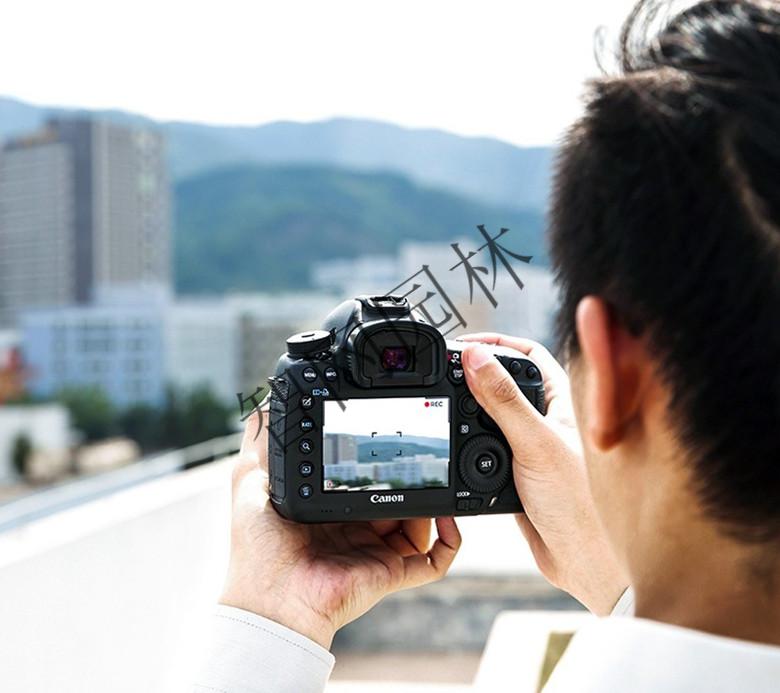 佳能ds126431 126271 ds126371 ds126311单反相机电池 充电器lpe8