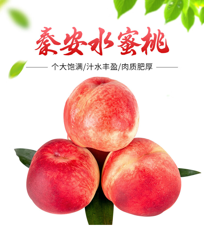 香馜【jdv顺丰】正宗秦安水蜜桃 甘肃天水撕皮水蜜桃北京7号桃子当季