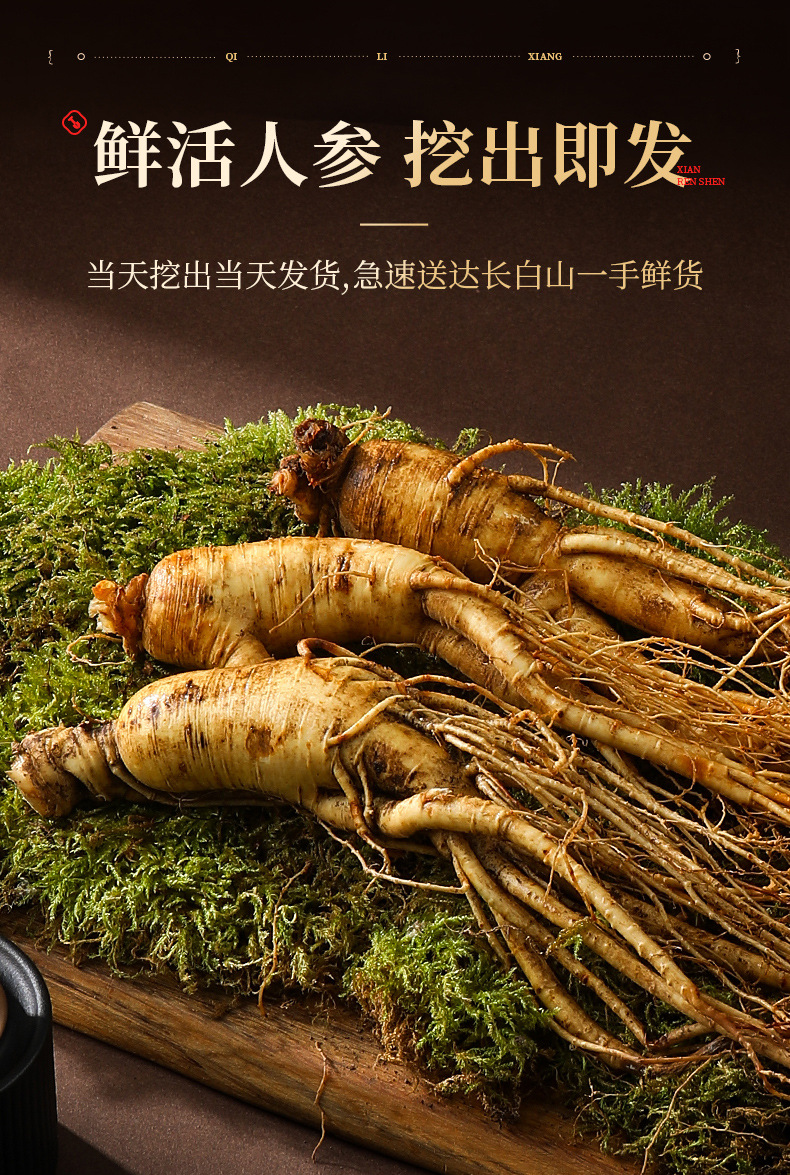 杞里香鲜人参250g鲜活人参长白山原产地泡水煲汤滋补五年足龄鲜参