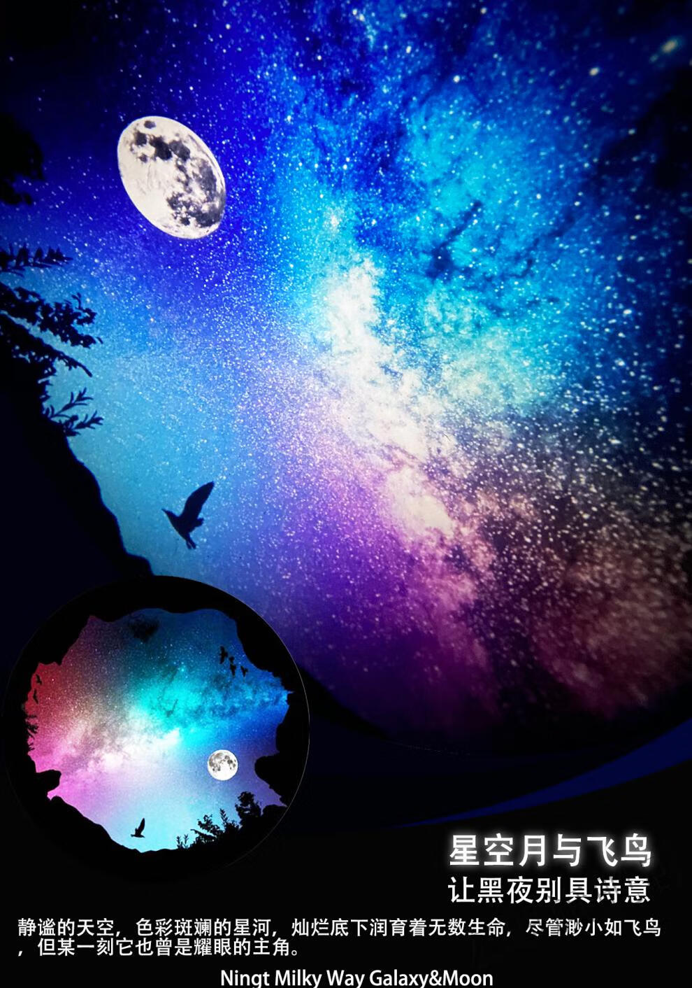 新款日本sega世嘉星空投影仪五代星空灯homestar浪漫星空流星爱心